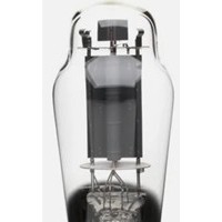 Tube 300B